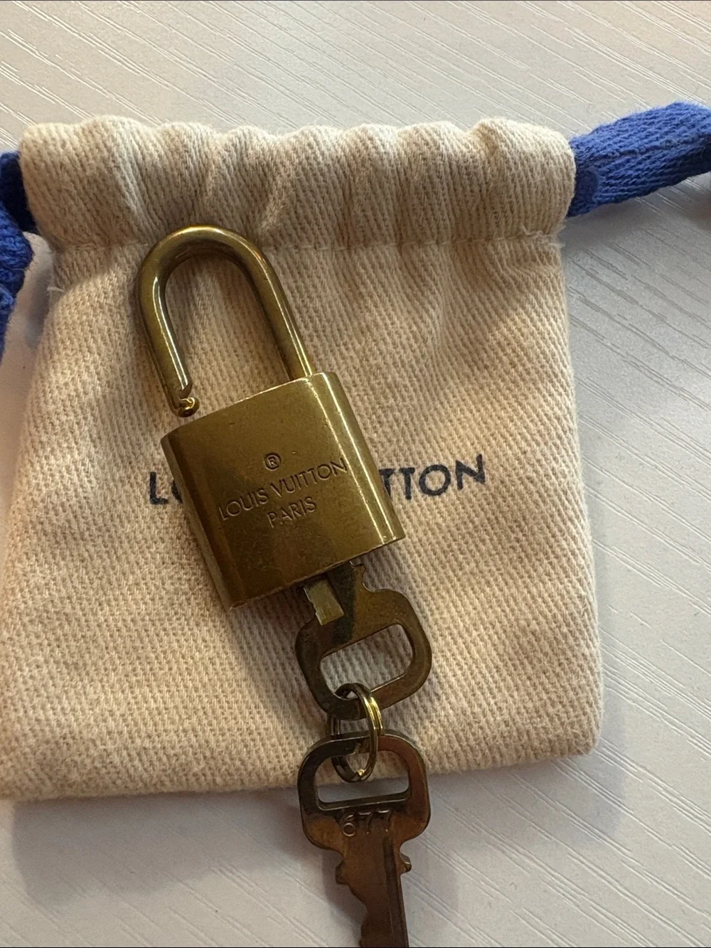 Louis Vuitton designer louis